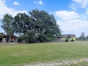 Stavební pozemek, 800m2, Chotýčany, okres České Budějovice